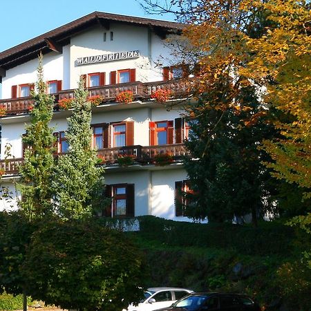 Pension Waldfriede バート・タッツマンスドルフ エクステリア 写真