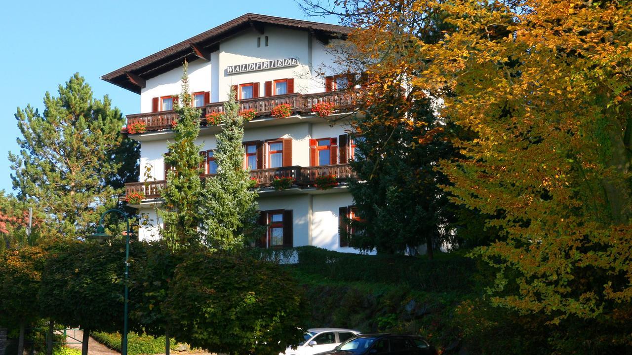 Pension Waldfriede バート・タッツマンスドルフ エクステリア 写真